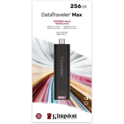 Kingston DataTraveler Max 256GB USB-C muisti 2