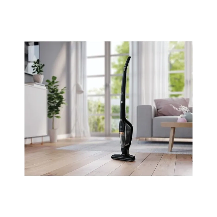 Electrolux Ergorapido Classic 2in1 varsi-imuri 7 Electrolux Ergorapido Classic 2in1 varsi-imuri 7