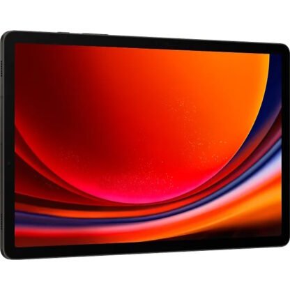 SAMSUNG GALAXY TAB S9 WIFI GRAPHITE 12/256GB 2